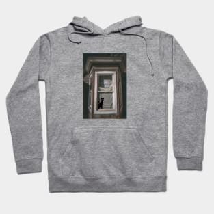 Cat in the window Hoodie